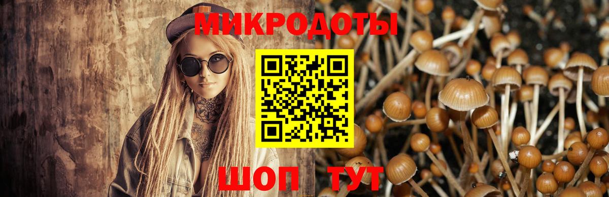 Псилоцибиновые грибы мицелий  Вход с VPN  Лесной 