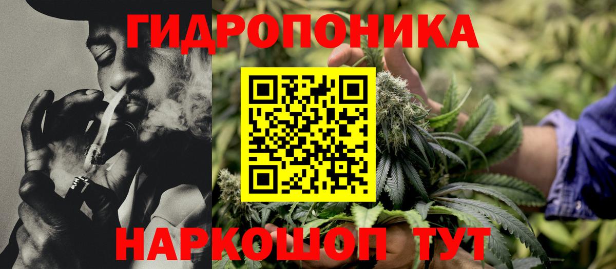 Лесной  Каннабис Amnesia  Вход с VPN  Шишки марихуана White Widow  Марихуана тримм  Шишки марихуана Ganja 