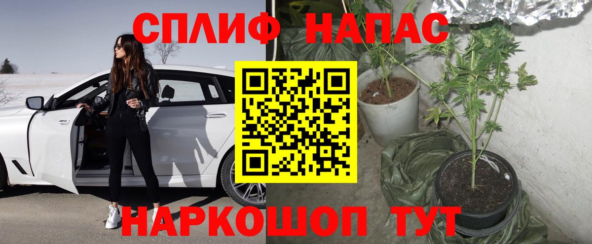 Каннабис Ganja Лесной